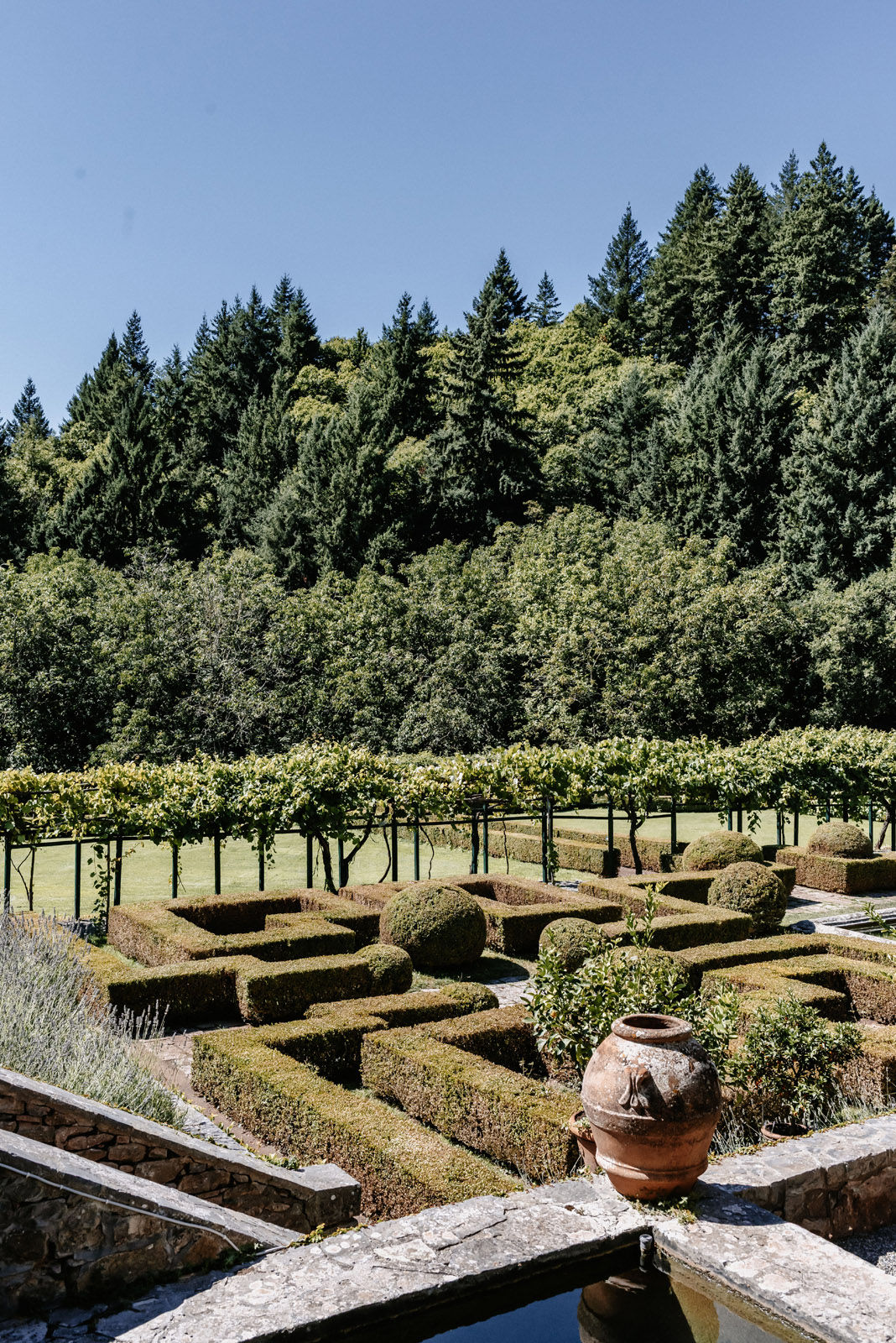 Three-day destination wedding of Fanni and Valentin in Tuscany, Italy — photograph 30